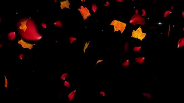 Leaves in autumn colors drift slowly downwards against a dark backdrop to represent the changing seasons and natural cycles.