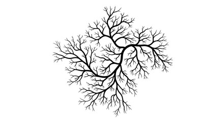 Abstract fractal branching pattern resembling tree structure. © Faozan
