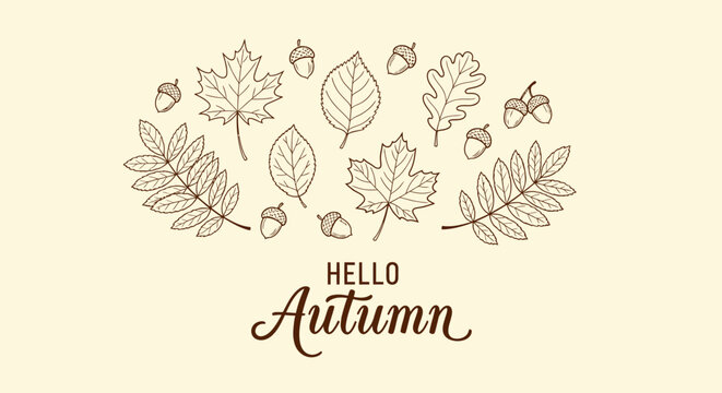 Hello Autumn calligraphy with elegant hand-drawn outline fall leaves and acorns. Seasonal vector illustration on a light background.
