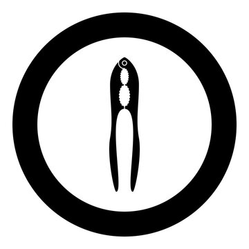Nut cracker nutcracker icon in circle round black color vector illustration image solid outline style