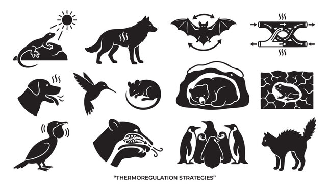 Thermoregulation strategies in animals showing behavioral and physiological adaptations.
