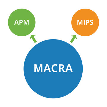 MACRA Healthcare Reform Concept Diagram with APM and MIPS Programs Flowchart Infographic