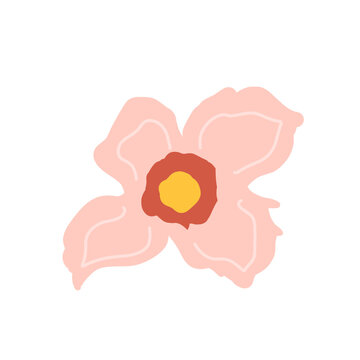 pink flower isolated on white design illustration