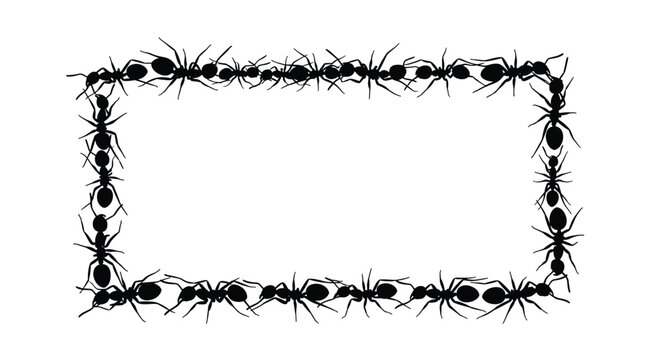 Rectangular border frame created by black ant silhouettes marching in a continuous line on a clean white background for nature themes.