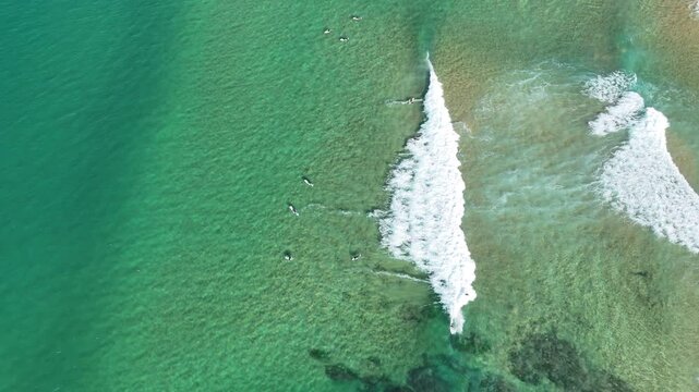 Drone video aerial view of surfers waiting to catch the next wave at a beach in Sydney Australia in summer 