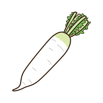 シンプルかわいい大根のベクターイラスト／Simple and cute Japanese white radish vector illustration
