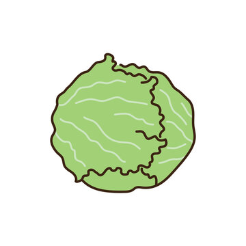 シンプルかわいいレタスのベクターイラスト／Simple and cute vector illustration of lettuce