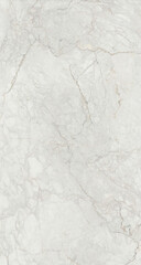 Fototapeta premium Elegant Natural Marble Background with Detailed Veining for Luxury Interior Design
