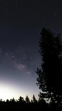 Vertical Shot of Milky Way Galaxy and Sunset in Southeast Sky Over Pine Trees Astrophotography Time Lapse California USA