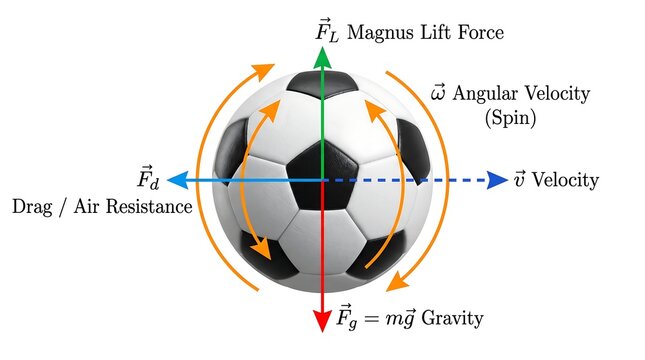Precise technical physics diagram illustration charting aerodynamic lift drag forces acting on a spinning ball