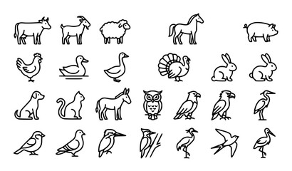 Fototapeta premium Minimal Rural Life Line Icon Set with Farm Animals, Wild Birds, Trees, Flowers and Agricultural Countryside Outline Icon Collection with Animals, Birds, Insects, Flora and Farm El