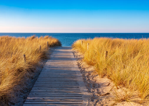 Sch&ouml;ner Wintertag an der Ostsee, Weg durch die D&uuml;nen zum Meer unter blauem Himmel, Rerik, Mecklenburg-Vorpommern, Deutschland 