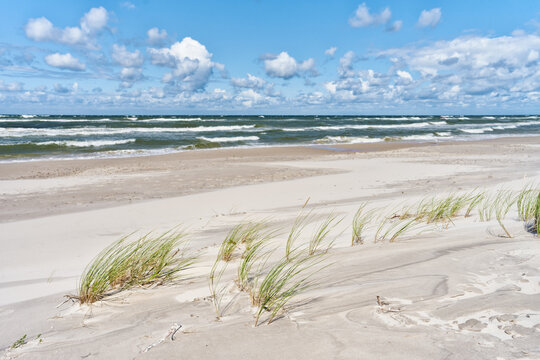 Empty sandy beach on the Baltic Sea with dune grass and rolling waves under dramatic clouds on a windy summer day. Scenic coastal landscape with untouched shoreline.