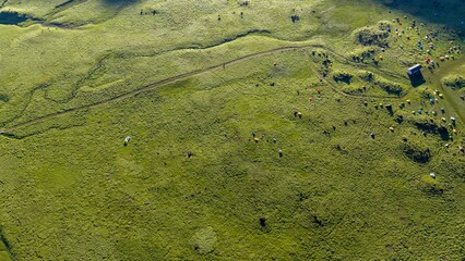 初夏の久住高原 ミヤマキリシマ群生地の空撮風景 © landscape photo