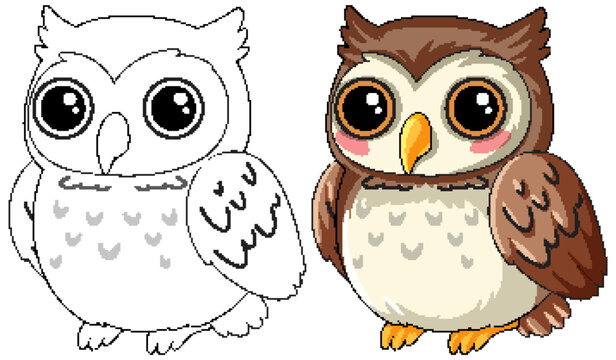 Cute Owl Cartoon Character Illustration with Line Art Coloring Page