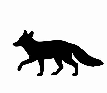 Black Fox Silhouette Walking Side View Vector Illustration on White Background