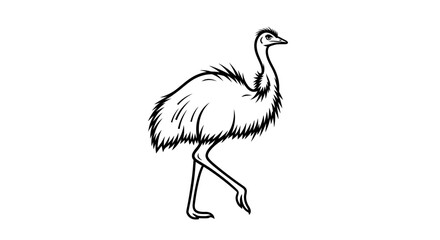 Obraz premium Black and White Line Art Illustration of an Emu Bird