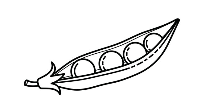 Black and White Line Art Illustration of an Open Pea Pod
