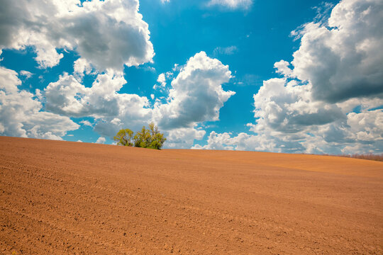 View of the arable field on a sunny day. Rural landscape