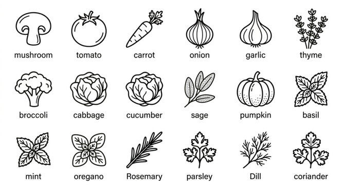 Healthy nutrition vegetable and herb line icon collection