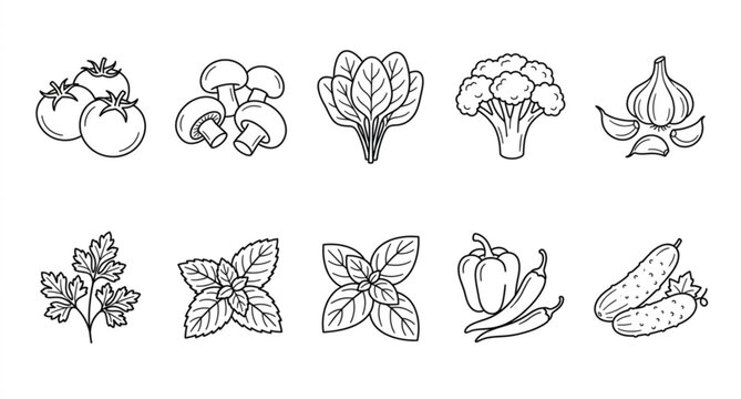 Culinary herb and vegetable line icon pack with cooking ingredients