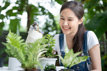 gardening home. woman use watering pot for tree in home garden. flowerpots as hobby and relax. plant sales, house garden, jungle, gardener, flower decoration, freelance, home jungle, Garden © Shisu_ka
