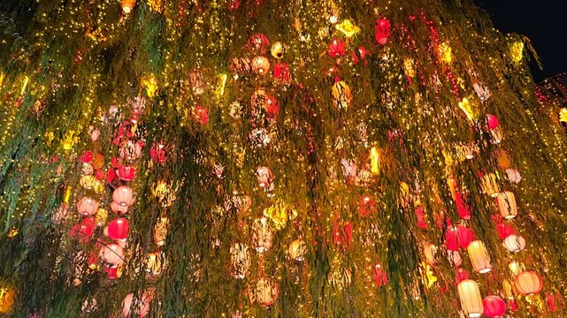 A mesmerizing slow-motion capture featuring a large vibrant and