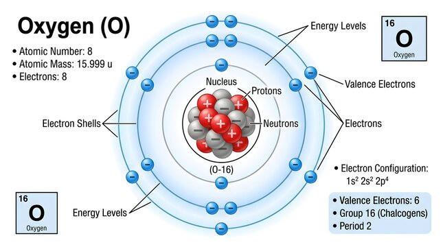 Detailed Bohr model diagram of the oxygen atom showing nucleus with protons and neutrons, electron shells, energy levels, valence electrons and periodic table data, perfect for chemistry lessons, post