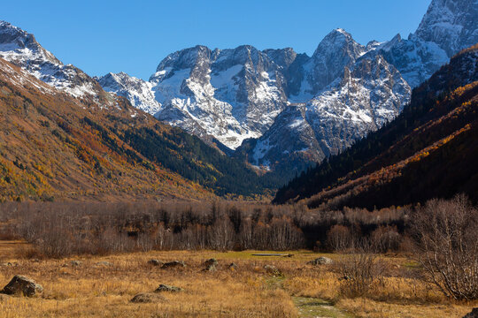 Snow-capped mountains and forested slopes in the Gonachkhir Gorge
