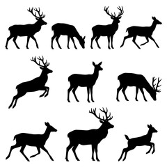 Fototapeta premium A comprehensive collection of black silhouettes showing various playful dogs in different poses and stances on a light grey background