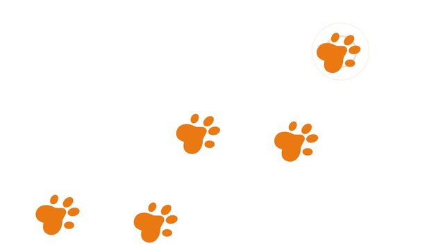 Animated progressive sequence of classic solid orange flat design dog paw prints simulating a walking path