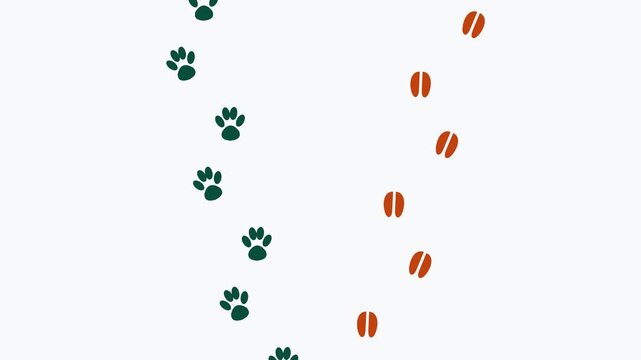Animated dual wild animal tracks with alternating wolf paw and deer hoof prints appearing in parallel trails