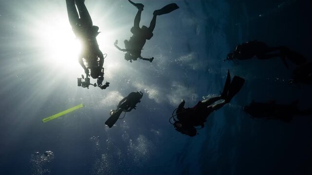 Underwater shot of SCUBA Divers silhouetted against the sun as they ascend to the surface in Palau's Marine sanctuary