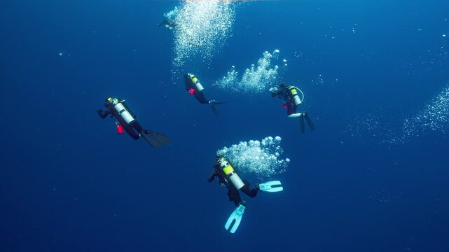 A group of SCUBA Divers descend into deep dark water