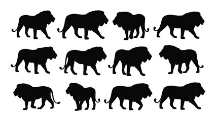 lion silhouettes in various poses on white background silhouette animal wildlife feline king jungle nature black contrast graphic design illustration © SIMPLYXRIAD