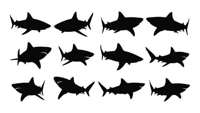 shark silhouettes on white background silhouette marine animal ocean wildlife predator sea creature vector graphic design pattern illustration black shape