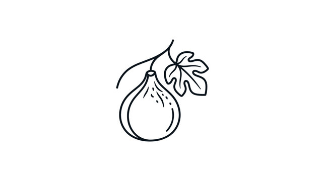 Hand Drawn Illustration of Fresh Fig with Leaf Stem.