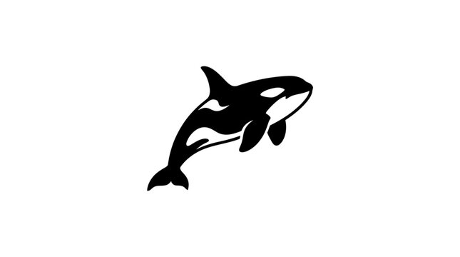 Playful black and white orca whale illustration silhouette.