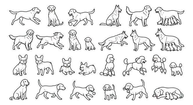 Minimalist dog breed line art icons, 24 canine outline illustrations, pet animal vector set