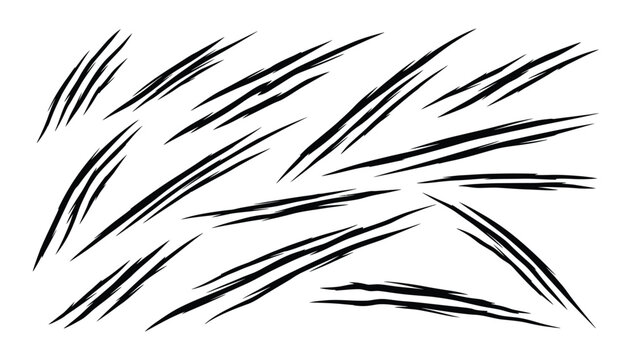 Claw scratch set, wild animal attack with sharp torn traces, vector black illustration.