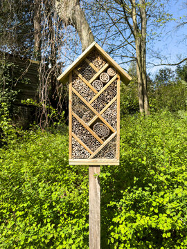 A wooden insect house, or insect hotel, stands in a lush green garden on a sunny spring day. The structure provides nesting and shelter for solitary bees and ladybirds, supporting biodiversity.