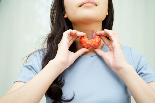 Hyperthyroidism, Overactive Thyroid, Thyroid Lymphoma, Asian woman with thyroid gland human anatomy model.