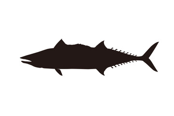 Obraz premium Japanese Spanish Mackerel Silhouette Illustration