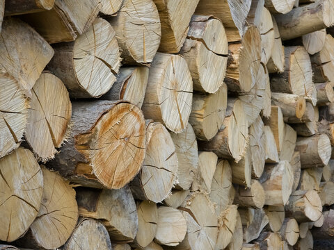 A large stack of neatly chopped round wooden logs and firewood featuring textured tree bark and natural annual ring patterns.