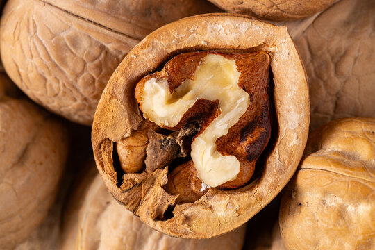 Macro Shot of Cracked Walnut Showing Kernel