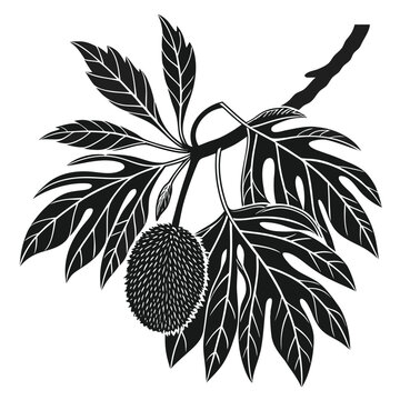 breadfruit silhouette on white background