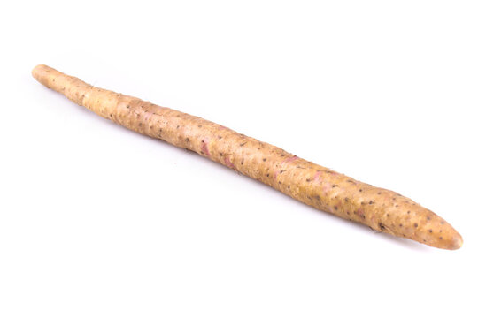 Fresh Chinese Yam Root Vegetable - Wenxian Stick Yam