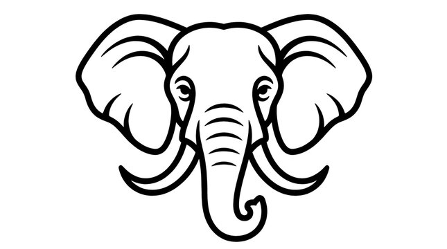 elephant head illustration