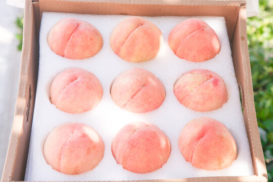 Fresh Delicious Wuxi Yangshan Peaches in Cardboard Box