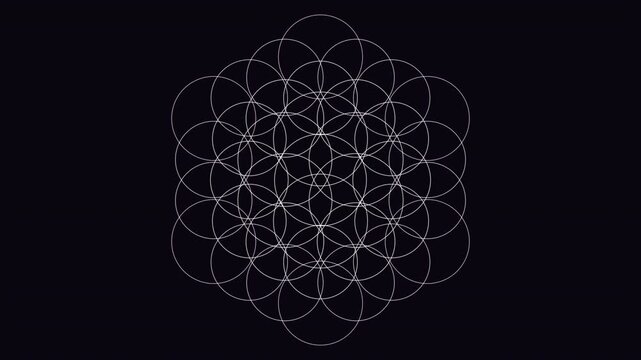 A mesmerizing seamless 4K loop of a glowing rose pink flower of life sacred-geometry pattern breathing in radial symmetry with deep cinematic detail. Ideal for chakra activation, sound bath. 4K UHD.